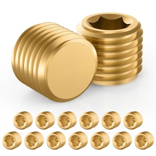 15 PCS Brass Pipe Plug Fitting Kit, Internal Hex Thread Socket Pipe 1/8” NPT