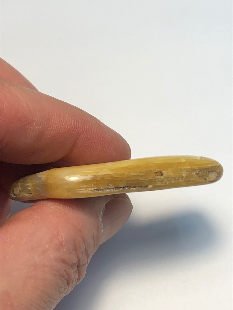 Yellow Petrified Wood. 18g