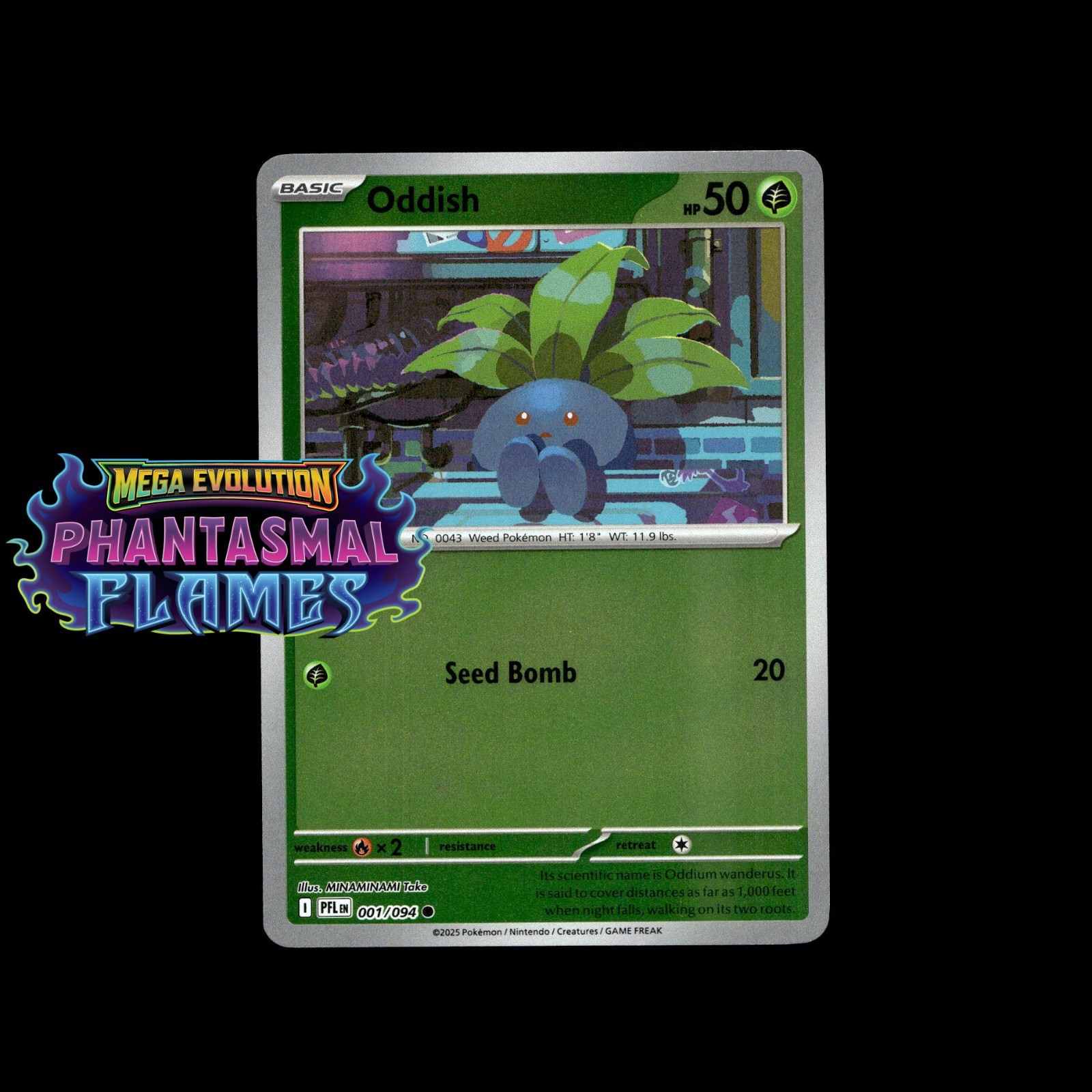 Phantasmal Flames Pokémon Cards! Holo/Reverse Holo EX SIR Illustration Rare Card