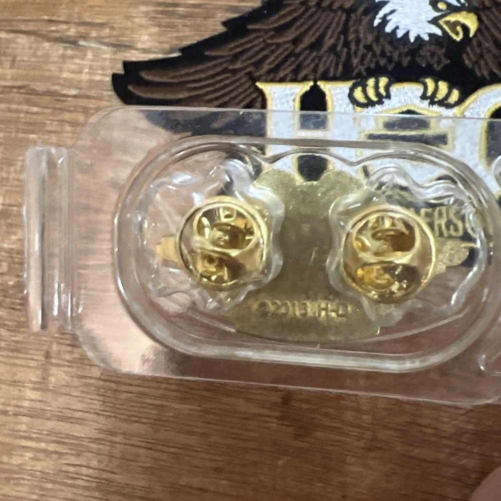 Authentic Harley Davidson Owners Group HOG Eagle Pin & Patch Lot