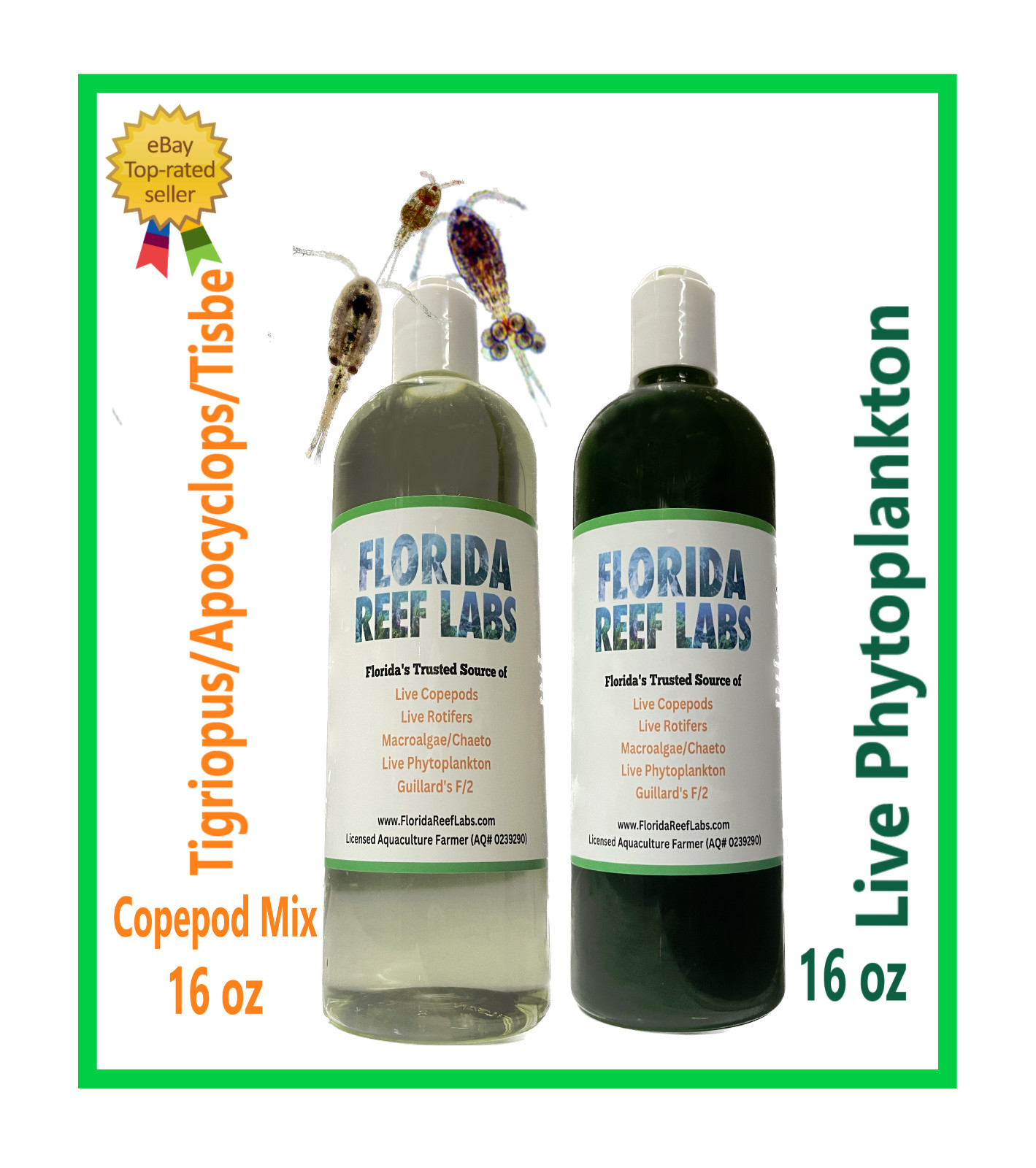 LIVE Copepods 16oz / Live Phytoplankton 16oz Combo - Florida Reef Labs®