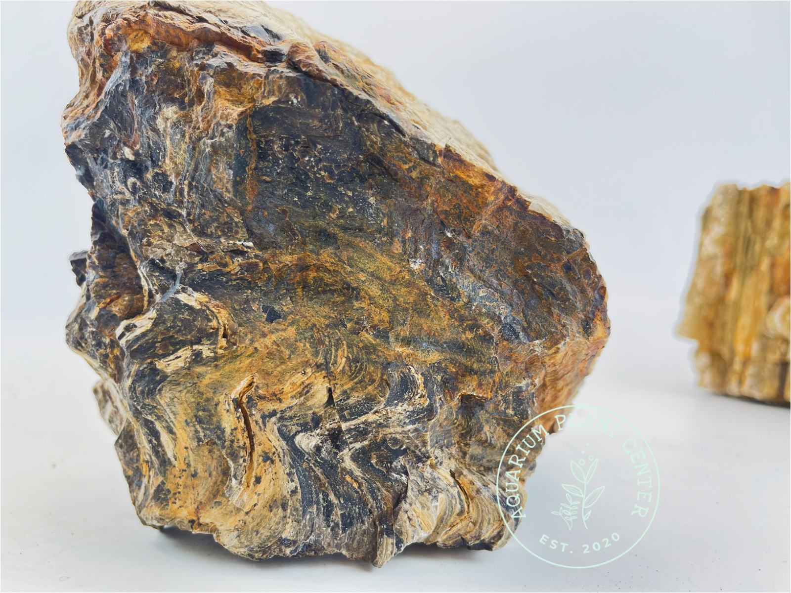 Petrified Wood Stone / Planted Aquarium / Decoration / Hardscape / Aquarium