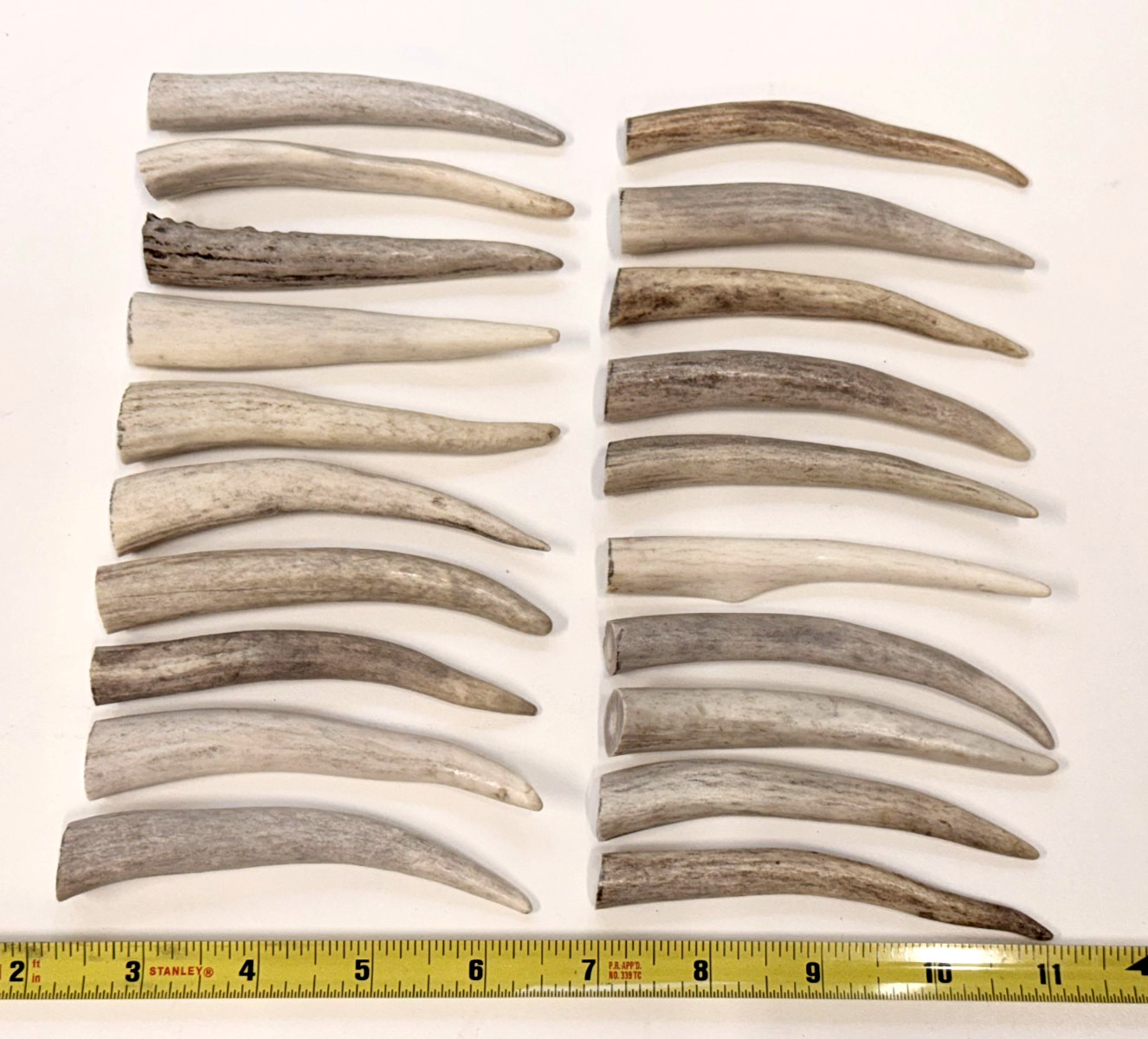 Deer Antler Tips (4"), Rustic Ornaments, Natural Jewelry Supplies (10 pc)