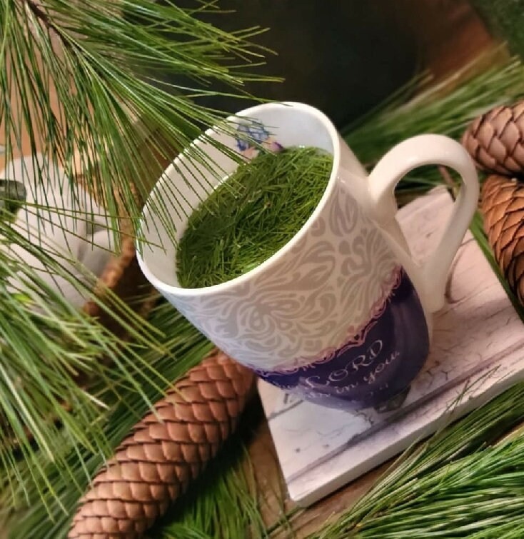 Fresh Wild Harvested Organic Pine Needles