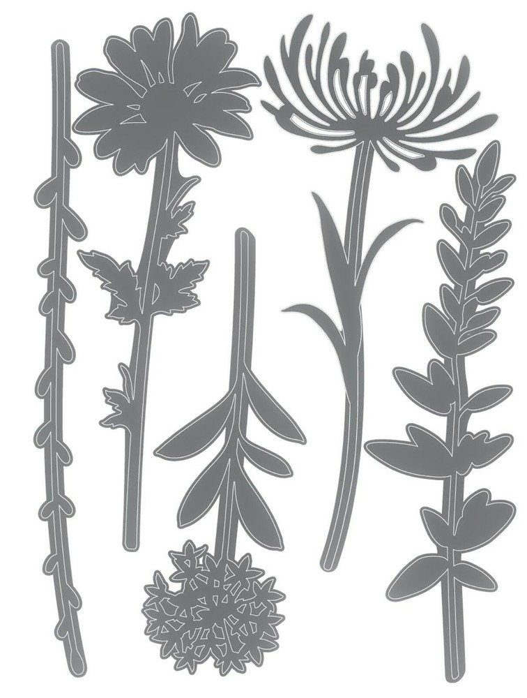 Sizzix Thinlits Wildflower Stems #1 #664163 5pk set Retail $22.99 by Tim Holtz