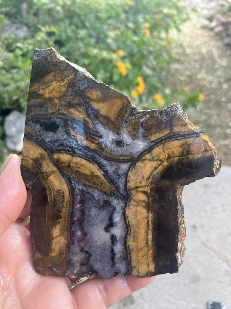 Black And Gold Agate Slab (NM)
