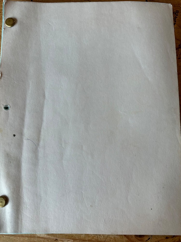 Armed and Innocent SCREENPLAY SCRIPT KATE JACKSON ANDREW STEVENS