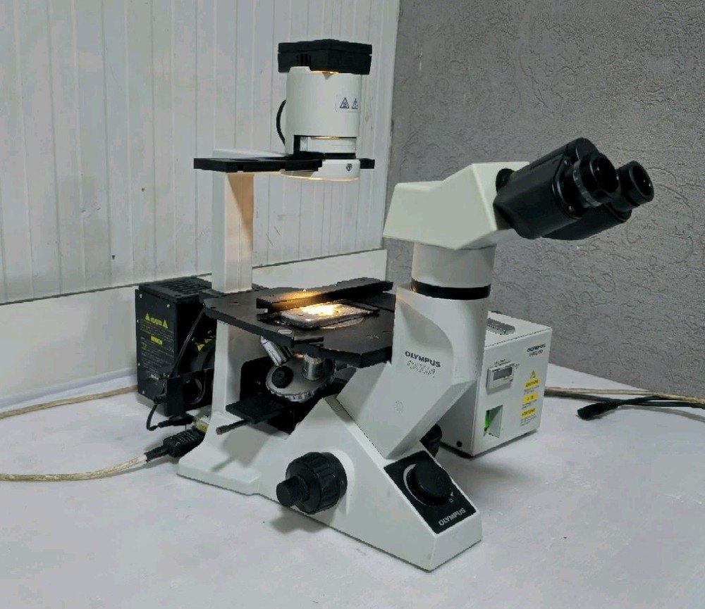 Olympus CKX41 Inverted Fluorescence Phase Contrast Microscope with 3 Objectives