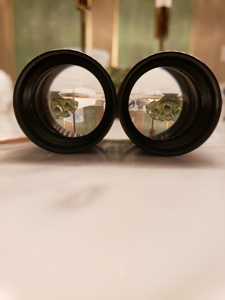 Unitron WF10x Microscope Eyepieces (Used) – Free Shipping