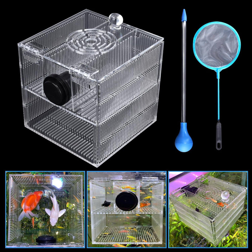 Magnetic Fish Breeder Box for Isolation Boxes Acclimation Hatchery Breeding Incu