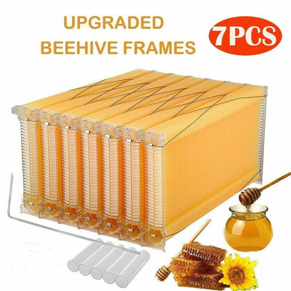 7x Auto Plastic Beekeeping Frames Honey Comb Frames For Beehive House Boxes US