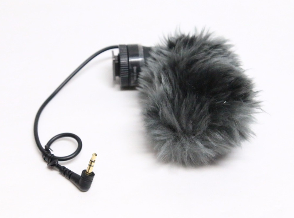 Canon DM-E100 Directional Microphone