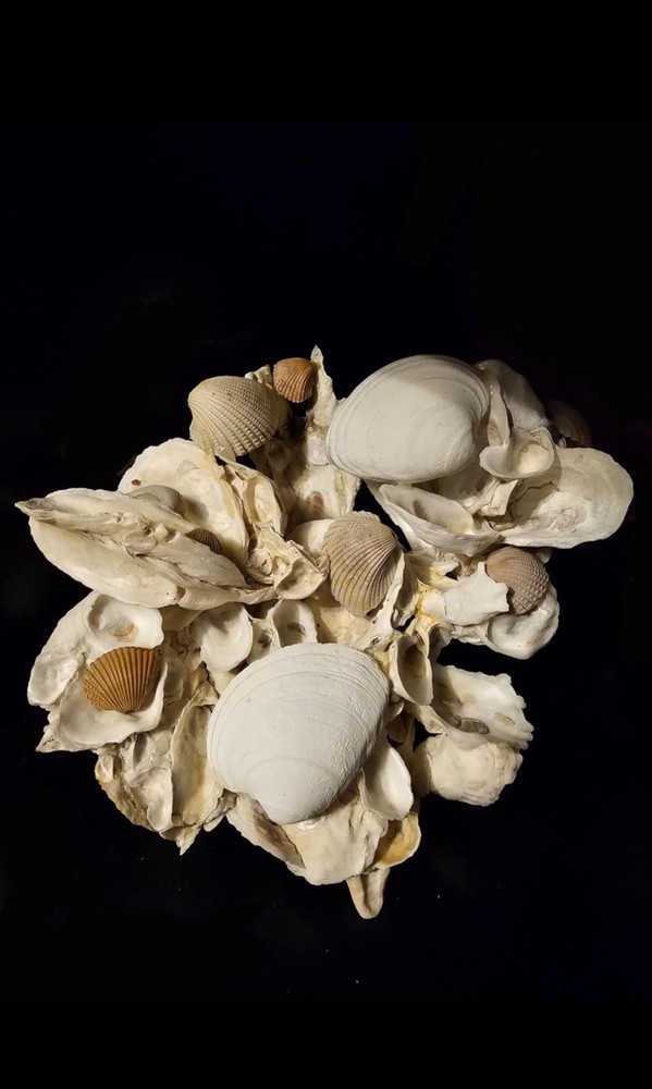 Oyster Shell Sculpture