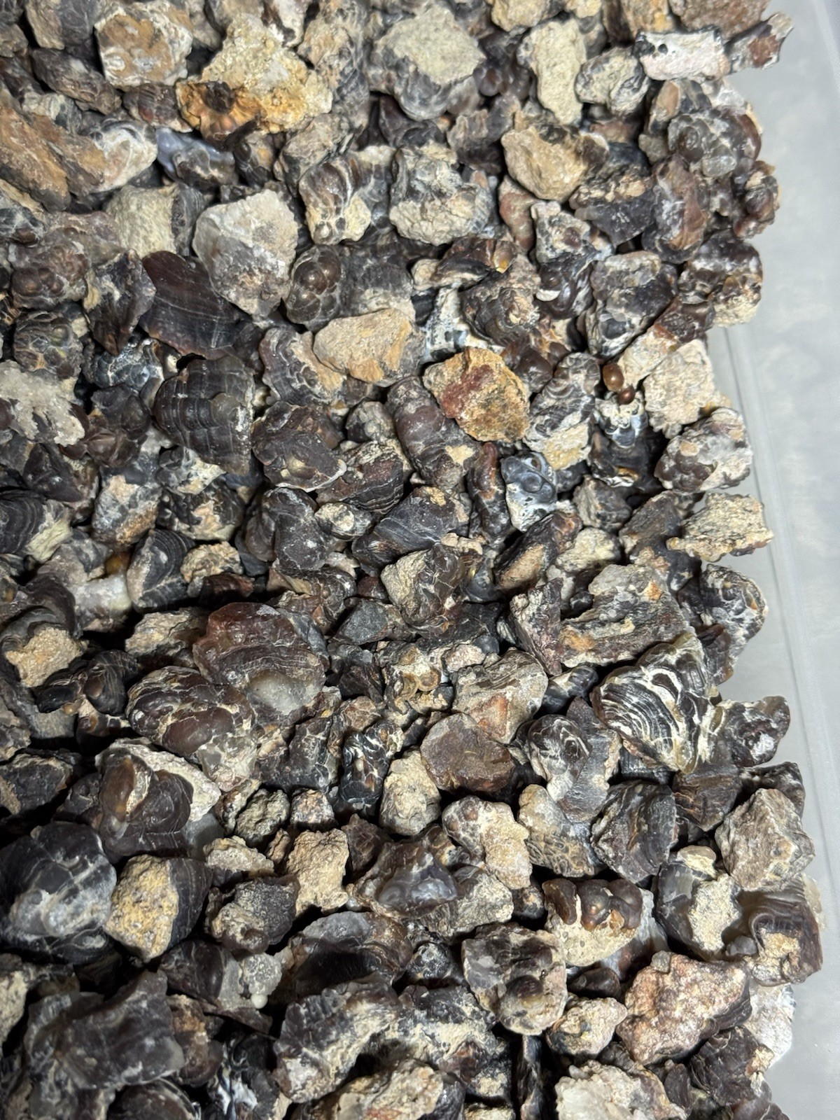 1/2 Lb Mid to Choice Grade Fire Agate Smalls Untreated Colorful Blind Grab Rough