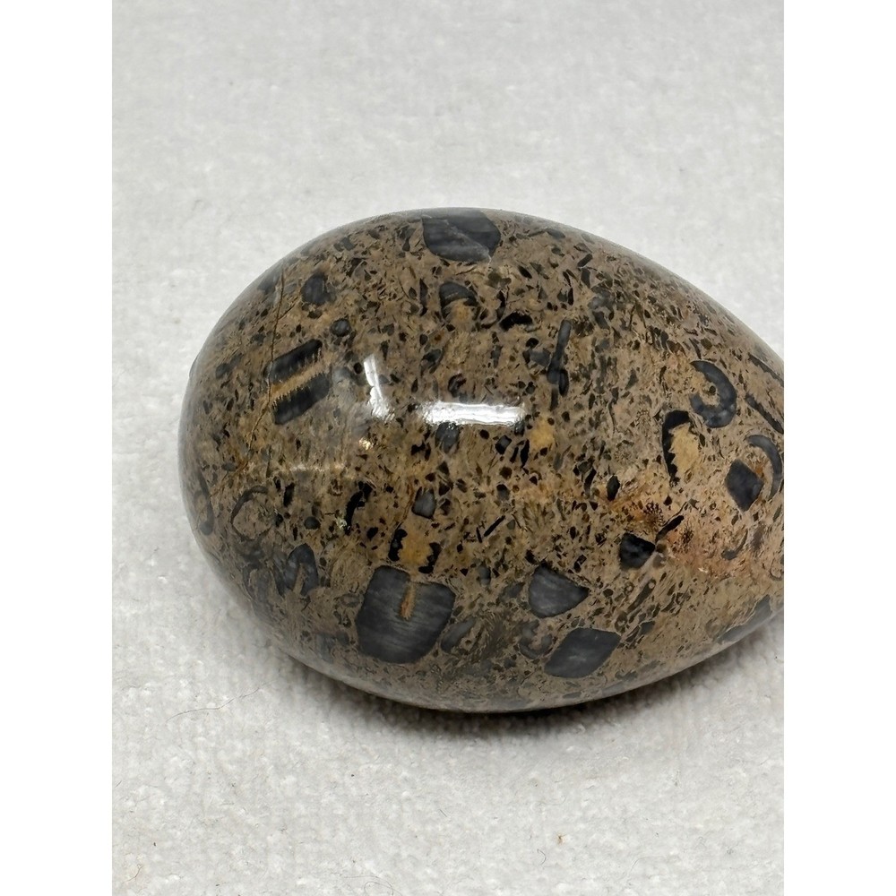 Fossilized Egg Stone Limestone Orthoceras Ammonite Sphere Display Paperweight