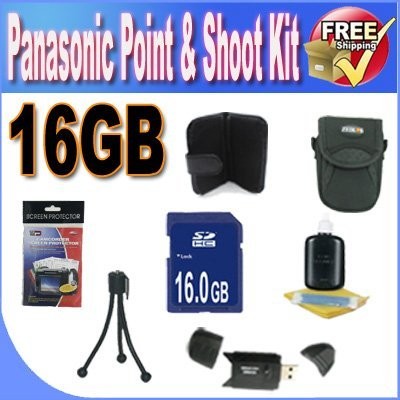 Panasonic Point & Shoot Accessory Saver Bundle 03