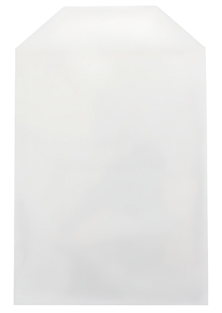 CPP Clear Plastic Sleeve with Flap (Fits 14mm DVD Case Artwork) Lot