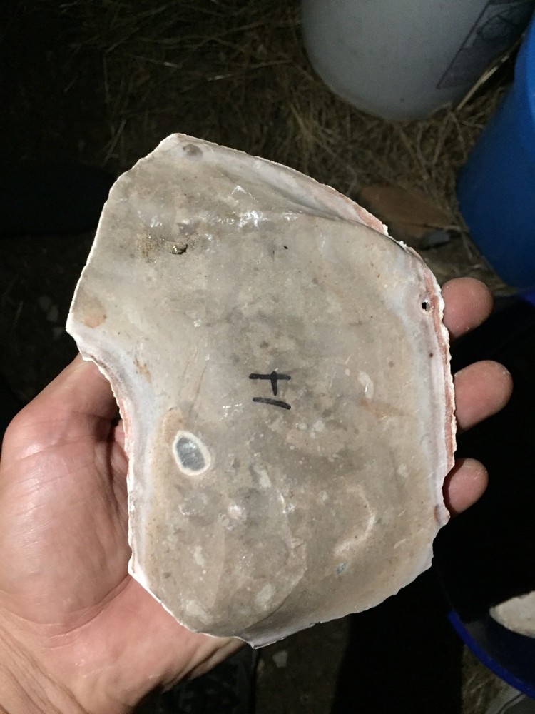 Heat treated Texas Chert Spalled medium flat 15+ Lbs $120