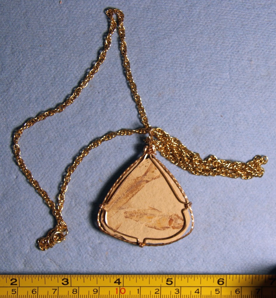 Knightia sp.- Pendant- Kemmerer, WY