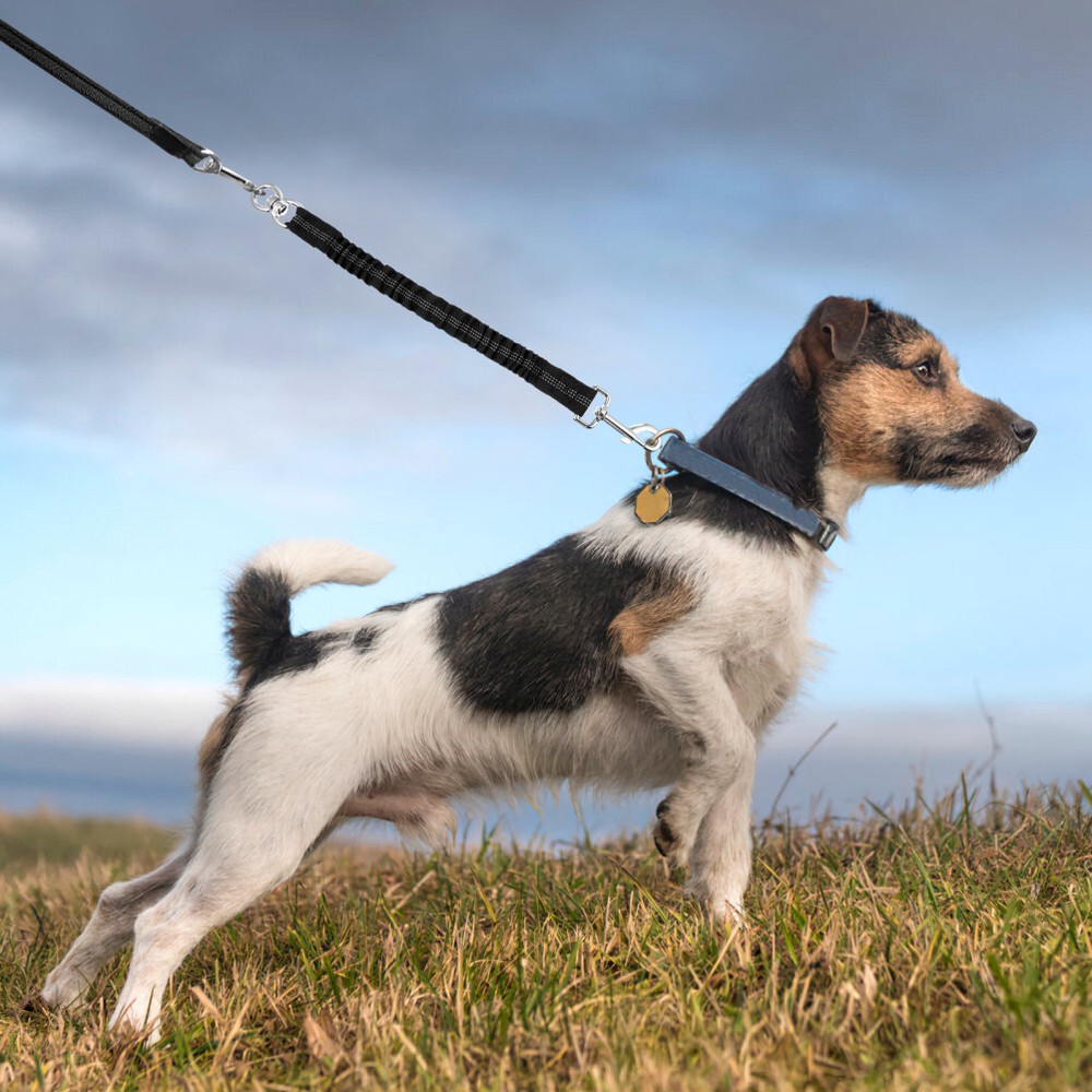 Leash for Medium Dogs Pet Extension Walking Stroller Attachment