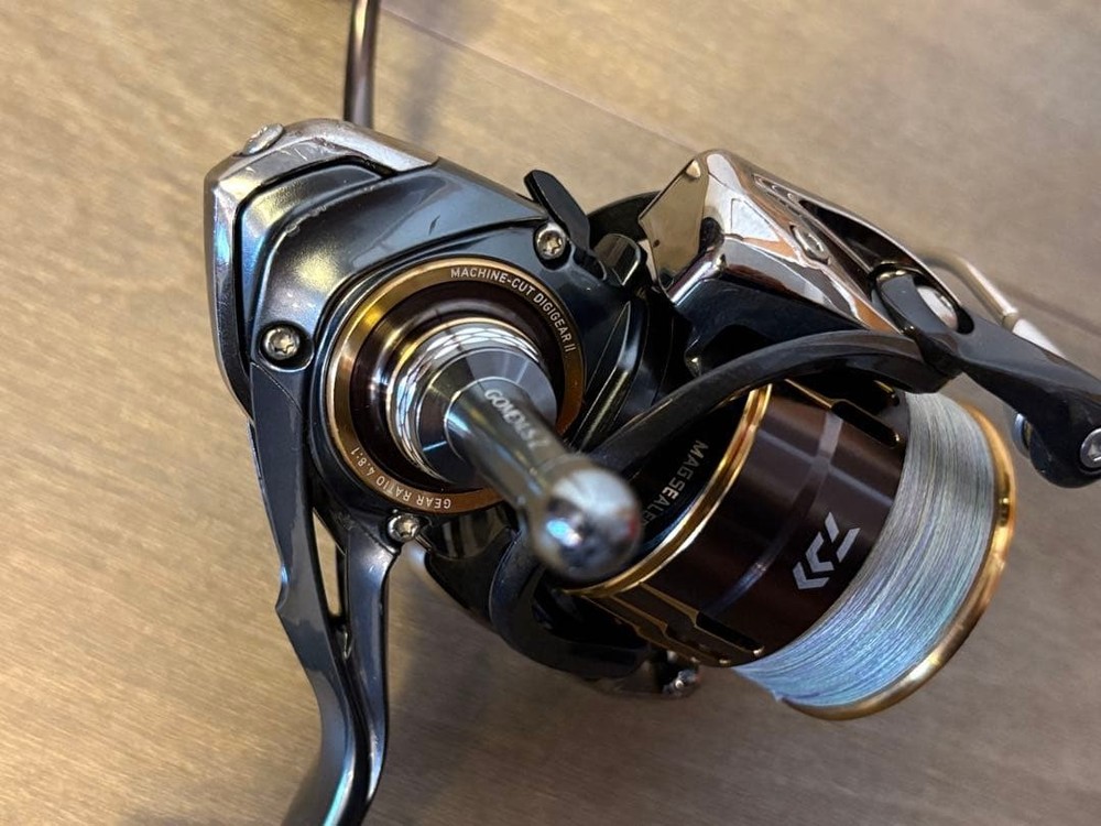With Bonus Daiwa Theory 2506
