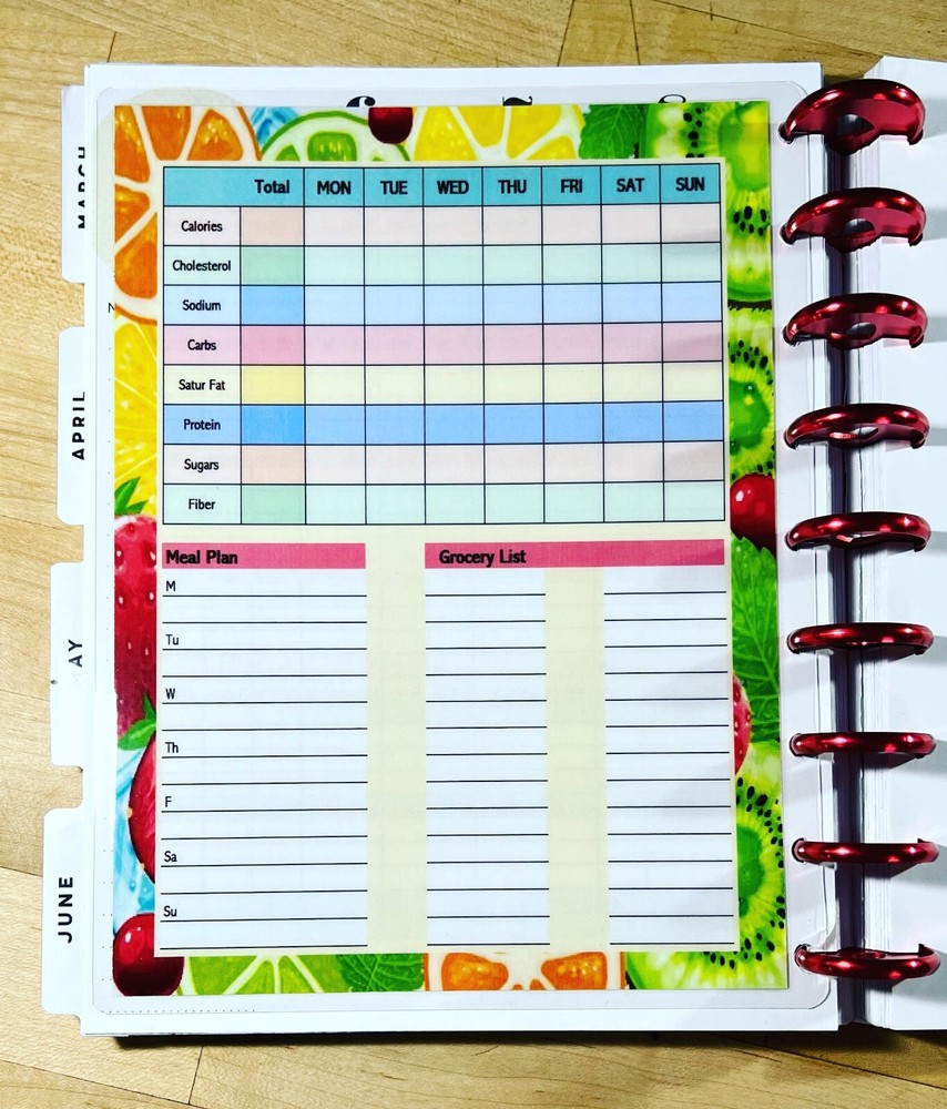Nutrition Log Dashboard Insert 4 use with HAPPY Planner