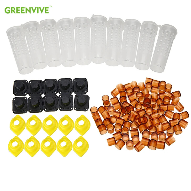 Beekeeping Tools Set Queen Rearing Cultivating Box 110pcs Plastic Bee Cell Cups