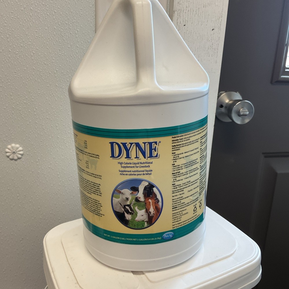 Dyne