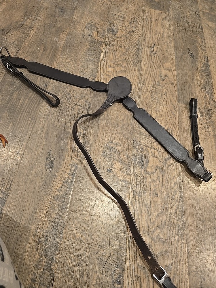 western headstall breastcollar set Cob