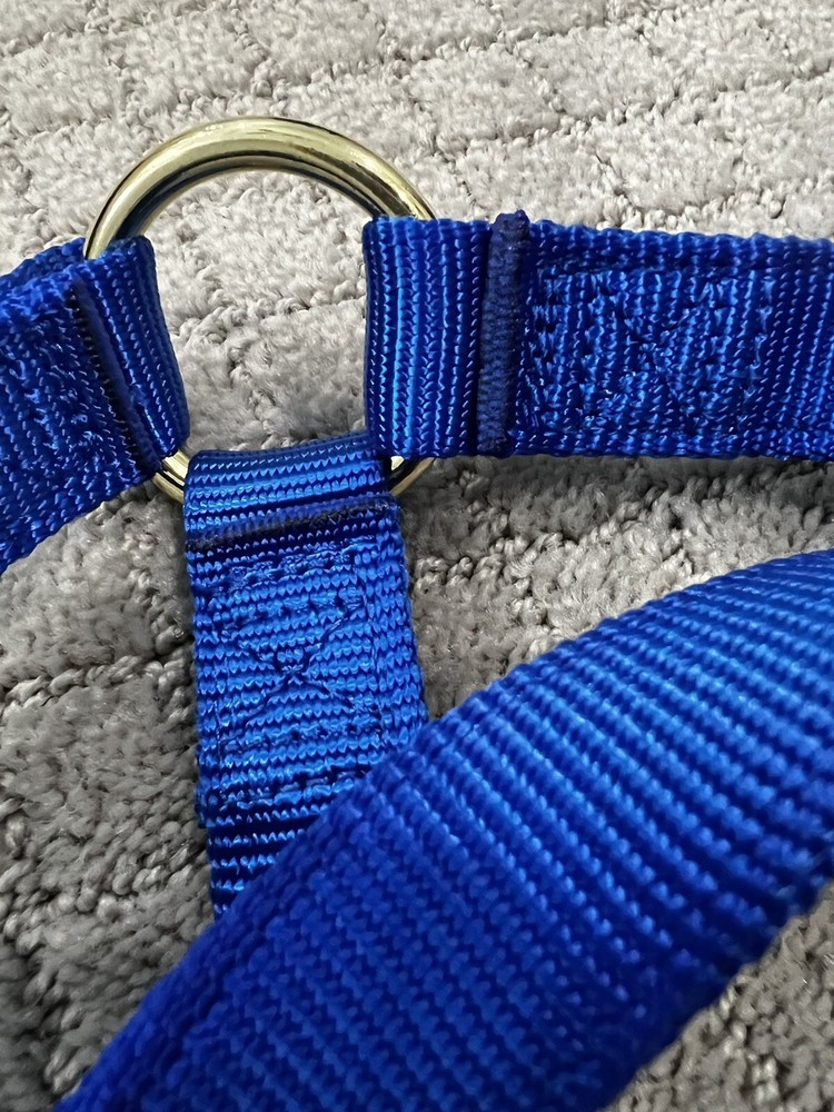 Weaver Leather Blue Basic Non-Adjustable Nylon Horse Halter, 1" Size: Large New!