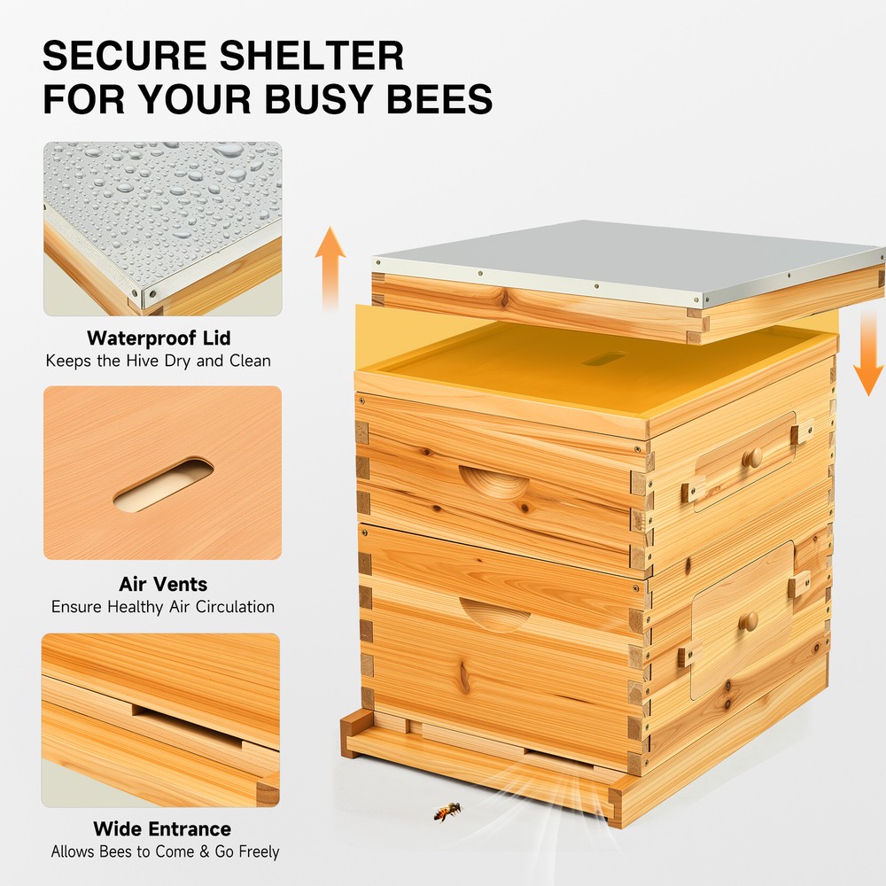 Beehive Frame BeeHive Box Kit W/ Beeswax Beekeeping 20 Frames 10 Deep+10 Medium