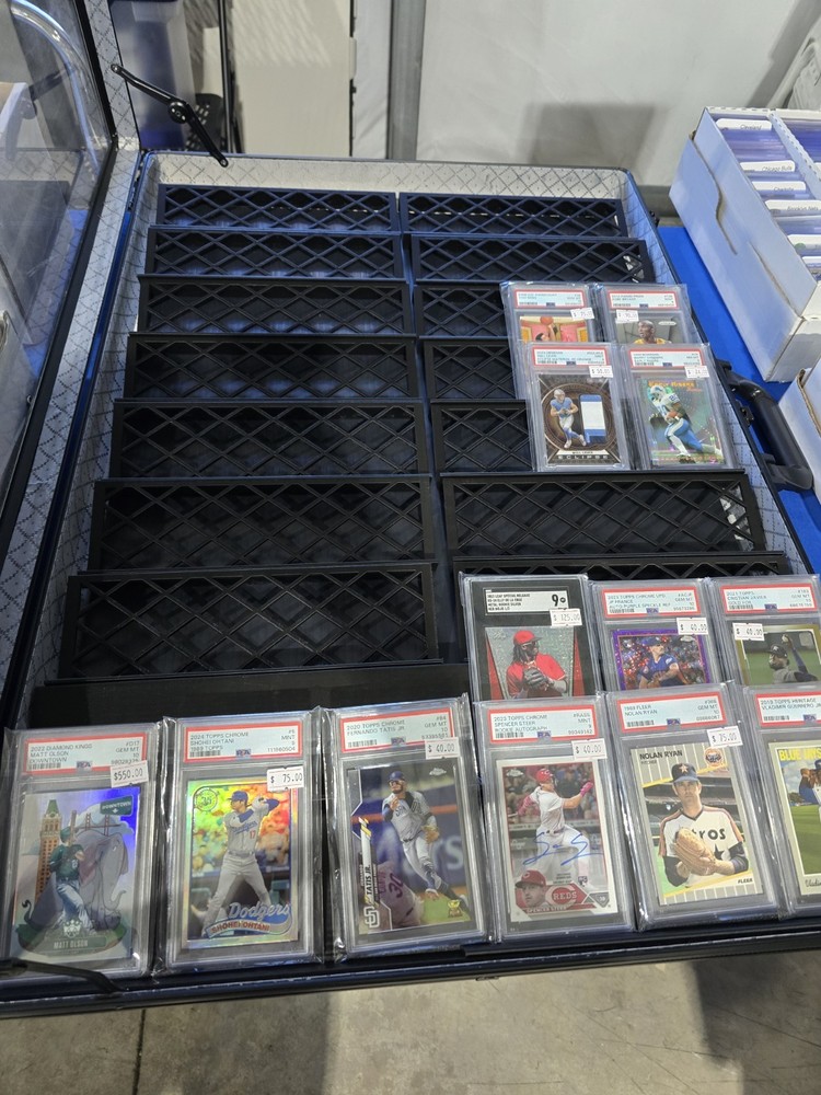 Display Case Card Riser Stands Compatible with Zion Case - 16 Risers 10.25" L