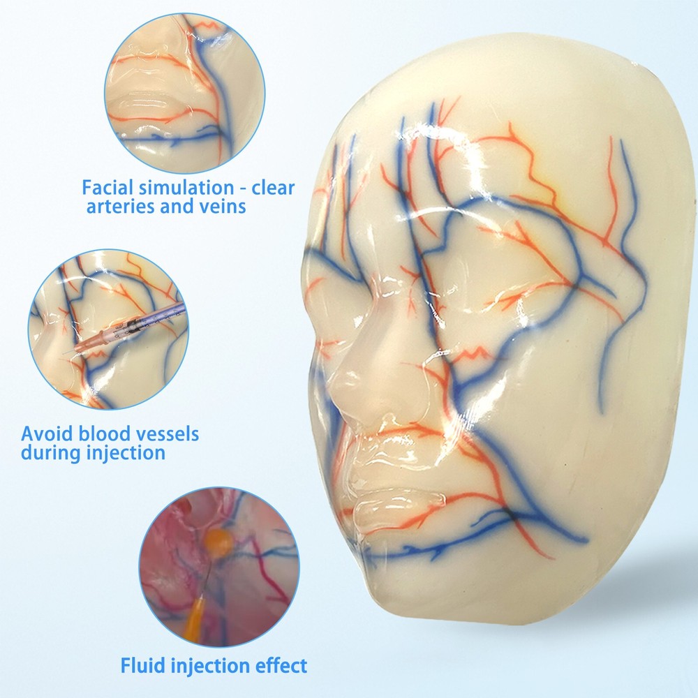 Multi-Functional Silicone Face Injection Model for Filler, Suture & Thread Train