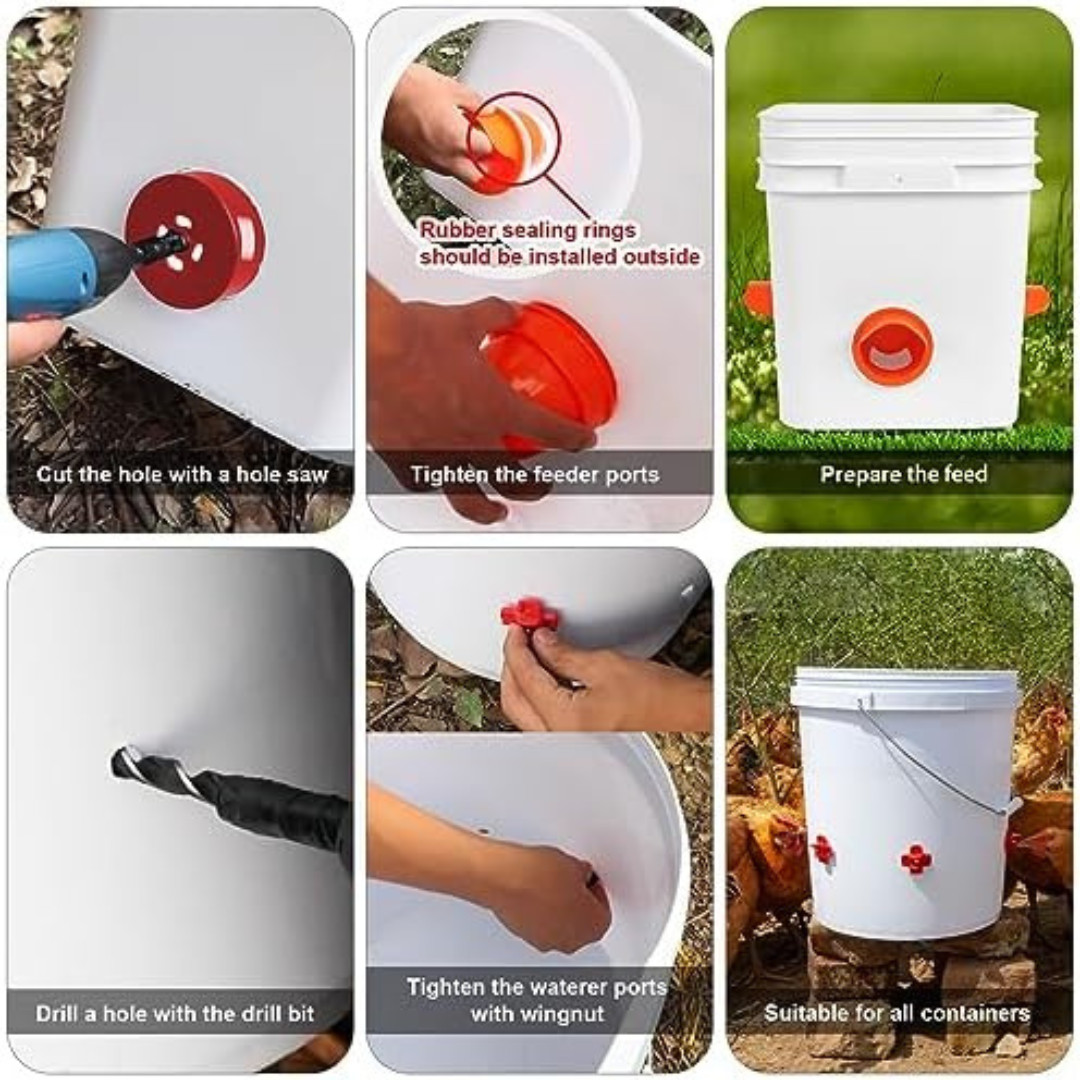 Chicken Feeder No Waste Automatic Poultry Feeder Ports Chicken Feeders and Water