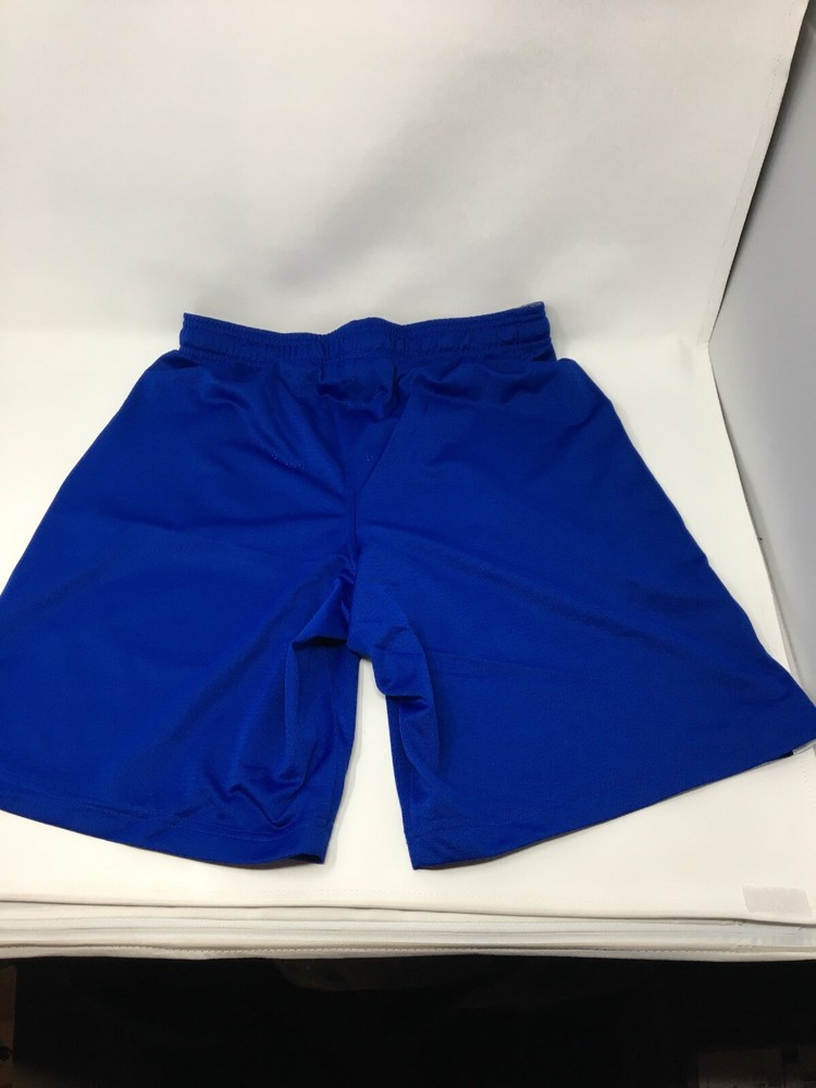 (Medium, Royal) - Under Armour Tech Mesh Men's Short