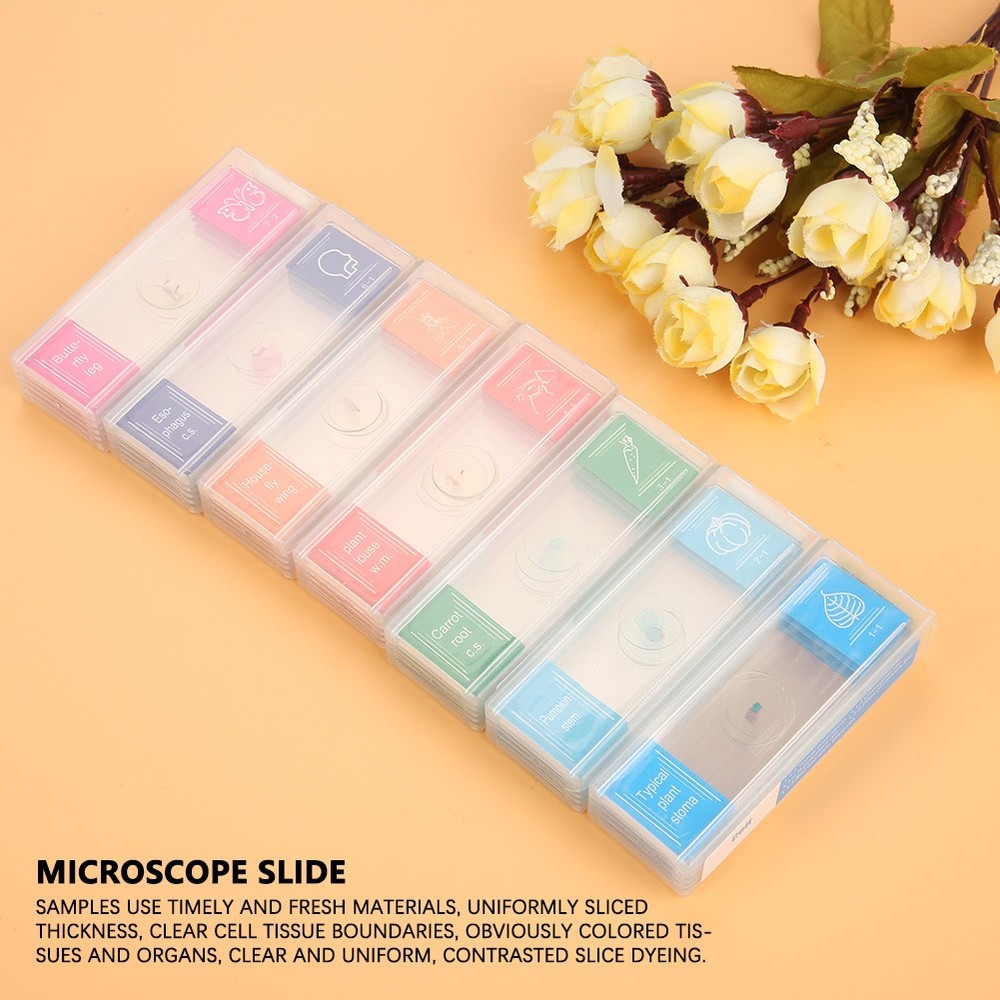 35pcs Biology Glass Prepared Microscope Slides Lab Specimens Slides Replacement