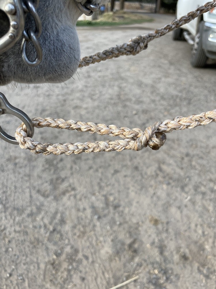 6' 9” Two Strand Nylon Barrel Reins Orange