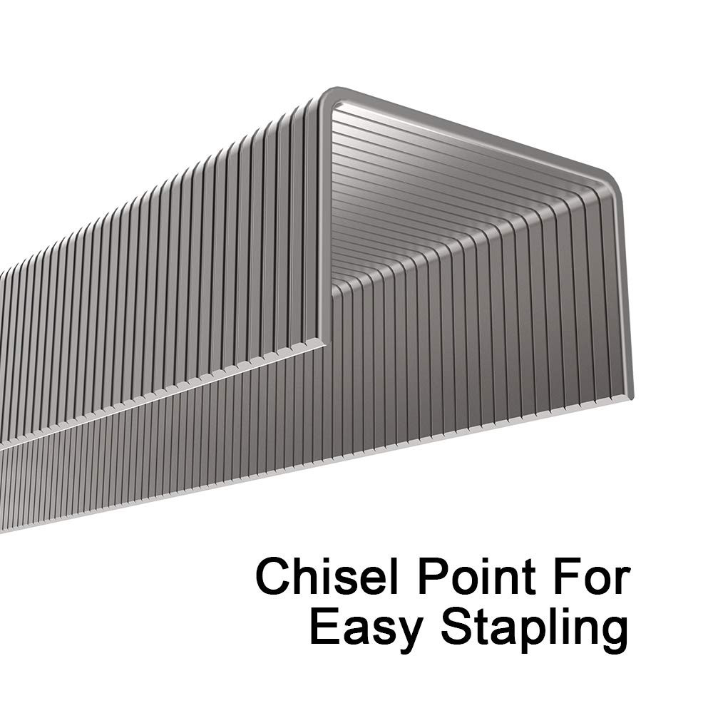 Rayson Heavy Duty Staples, 23/6, 23/8, 23/10 Versatile Multi-Size Pack Enhanced