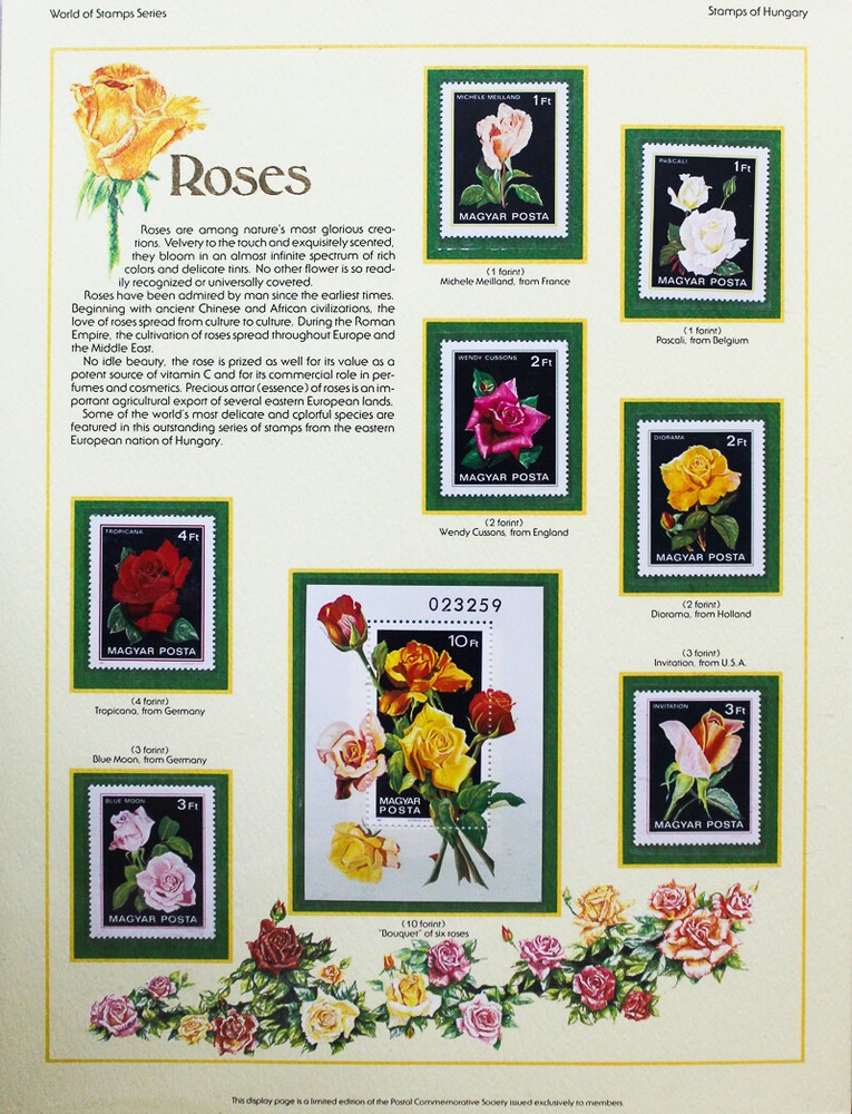 World Stamp Collection ALL Mint NH in Giant Book