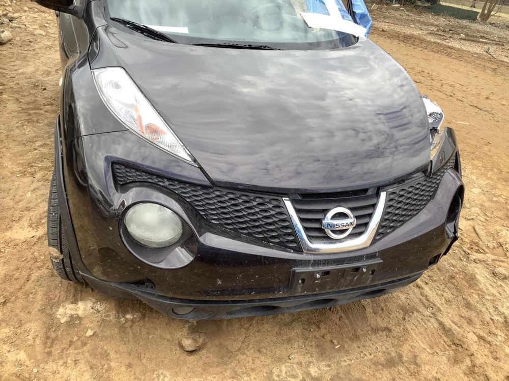JUKE 2014 Glove Box 4962519