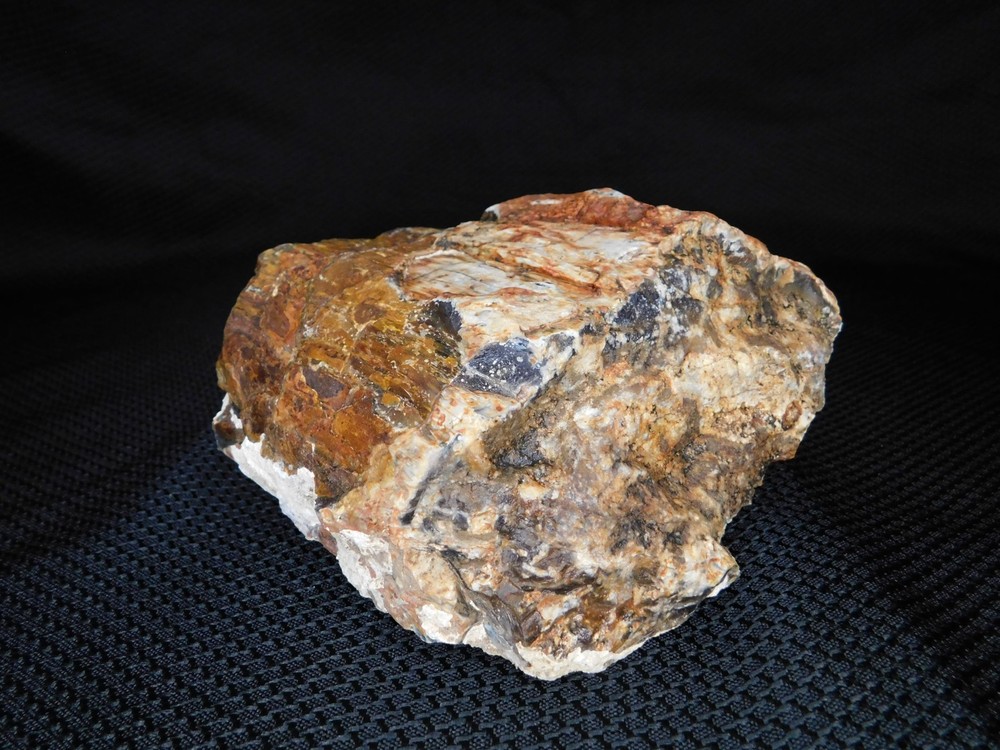 Translucent Agatized and Opalized Limb Cast Central WA Vintage 2 lbs. 14oz
