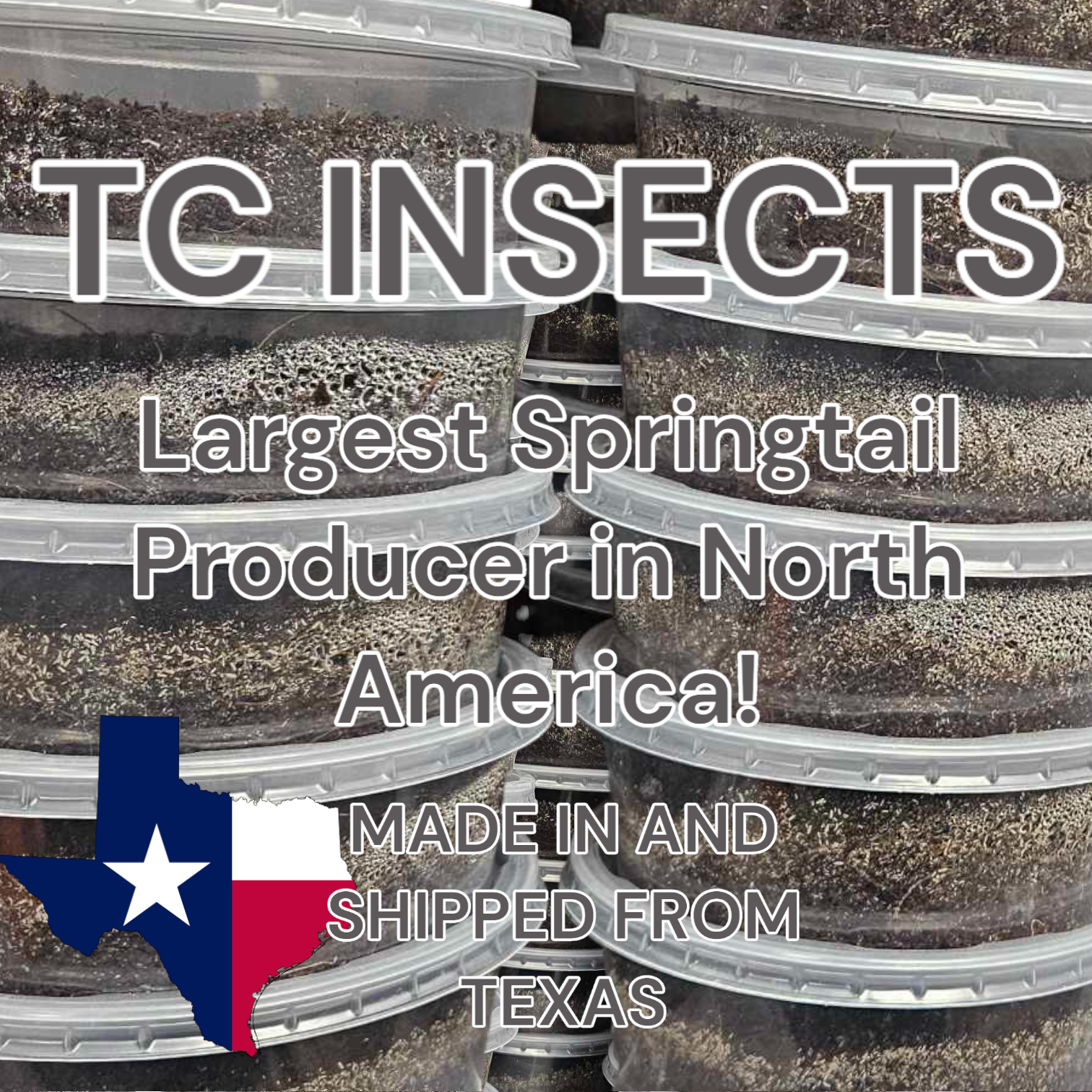 Springtails | Coco Temperate 8oz | Live Arrival & FREE SHIPPING NATIONWIDE!