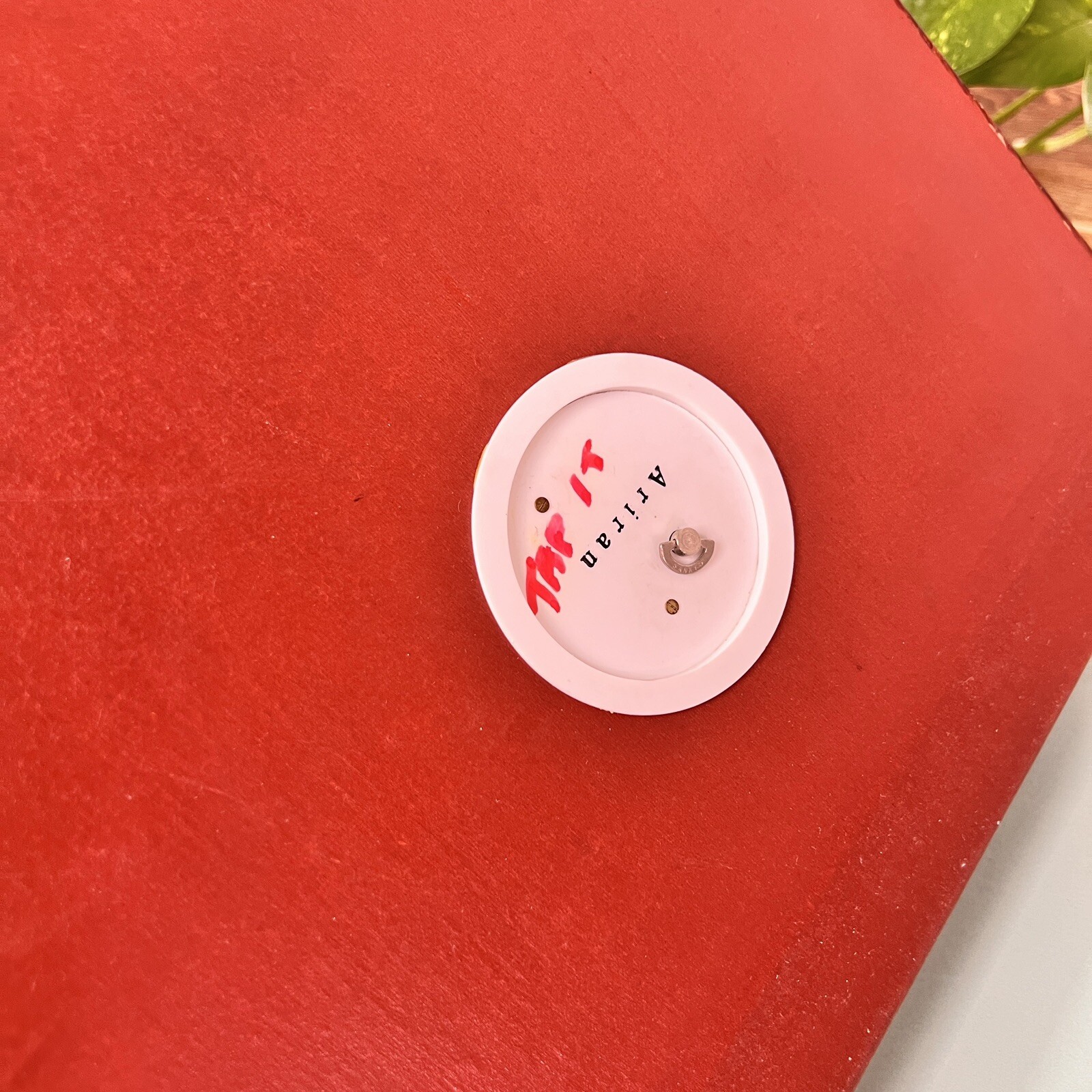 Wooden Shell Inlayed Peacock Photo Album Music Box Vintage Abalone Ariran Asian