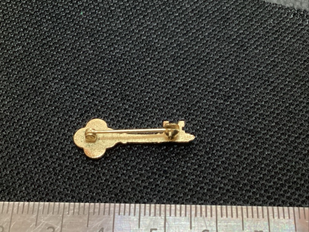 ORIGINAL VINTAGE GRUMMAN KEY LOGO PIN