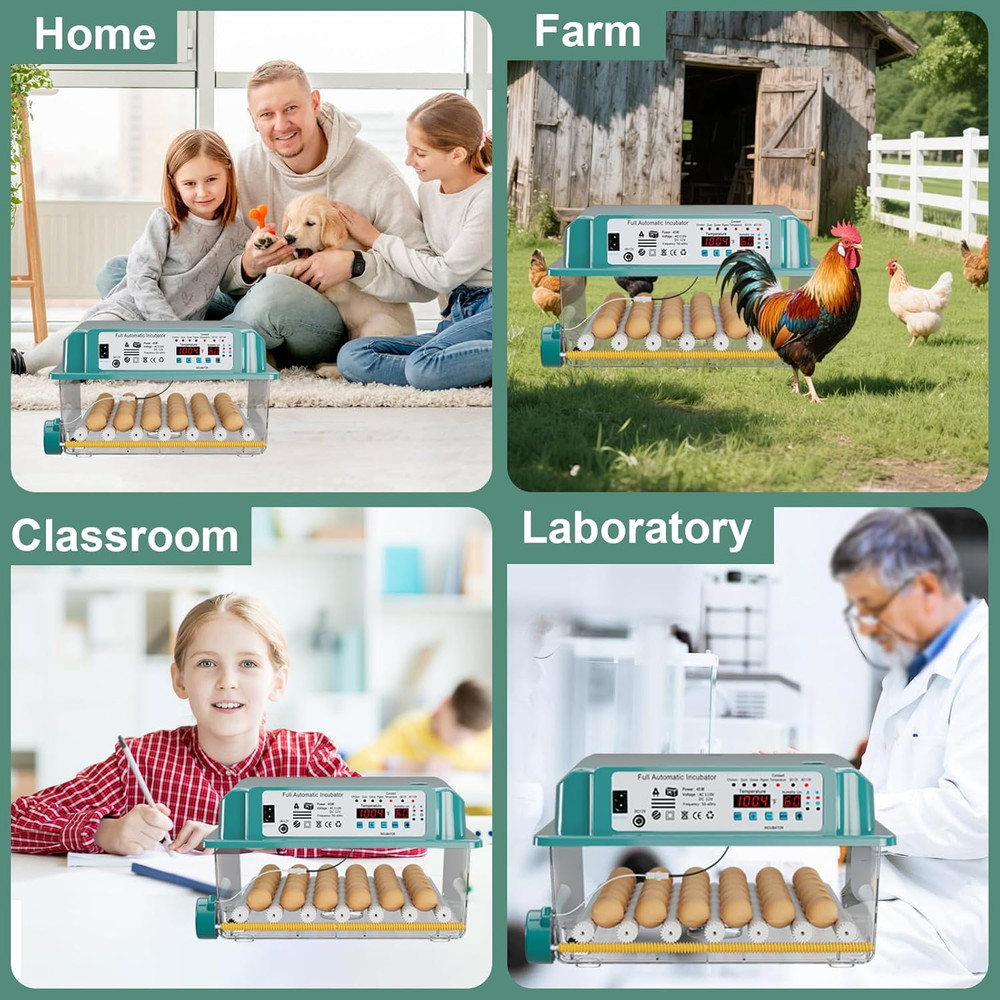 36-Egg Automatic Incubator with Humidity Control and Egg Turning Features