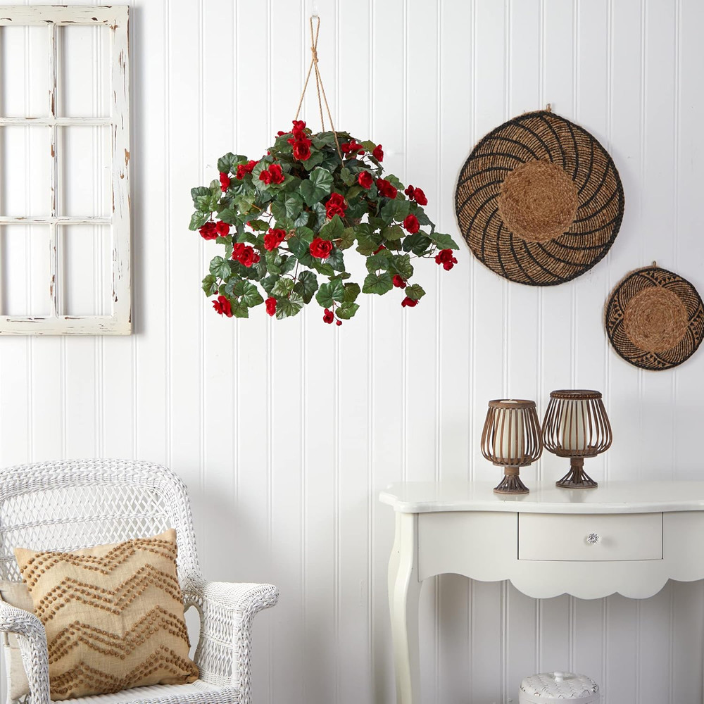 Begonia Hanging Basket