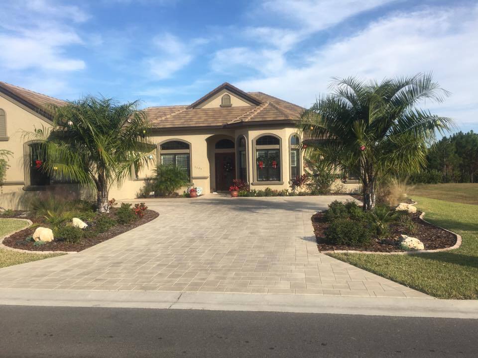 Butiagrus Seeds! F1 Hybrid Mule Palm Seeds. Rarely Ever Offered! Cold Hardy!