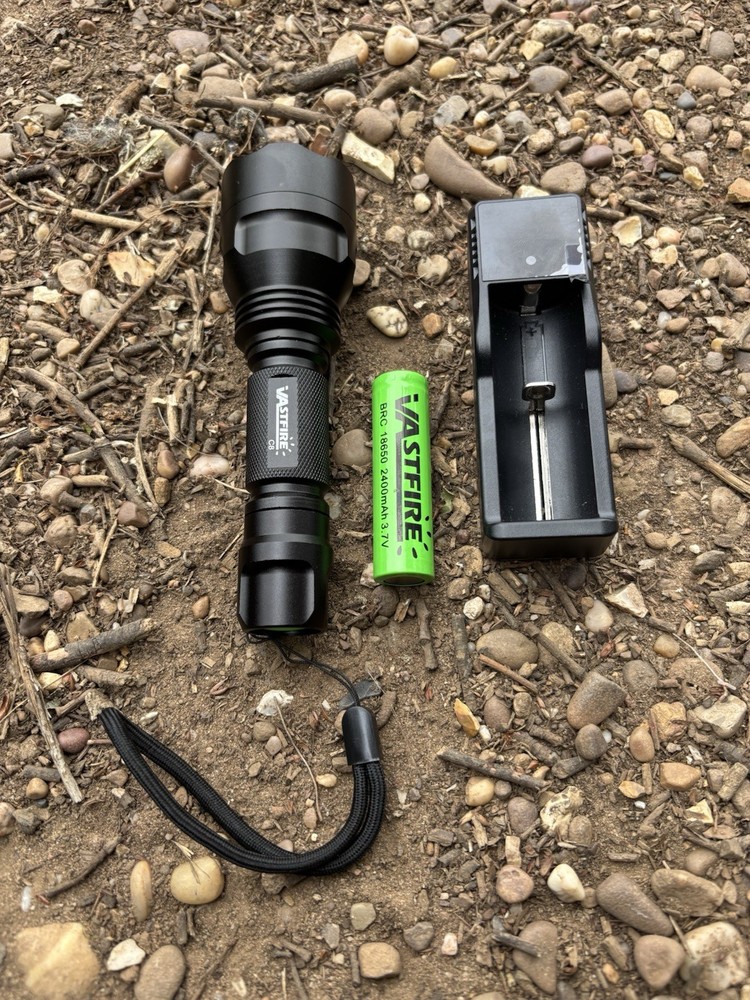 Bird Tufty Torch And carp Fishing