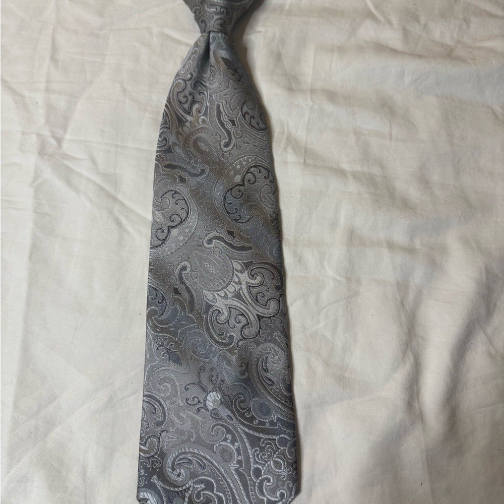 Sophisticated Paisley Tie in Gray
