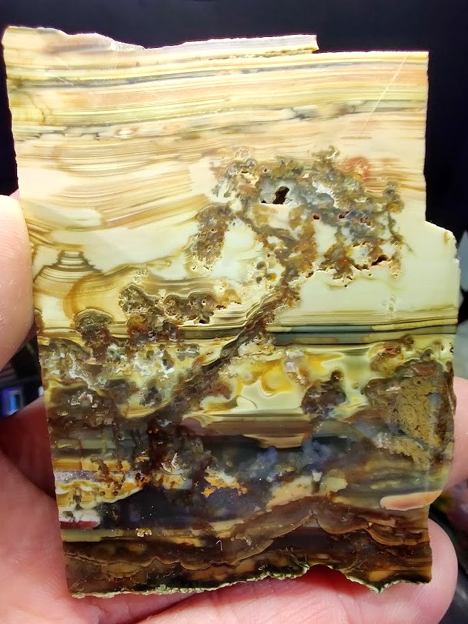 2 Matching, Polished Picture Jasper Slabs - Artistic Nature Scenes on Both Sides